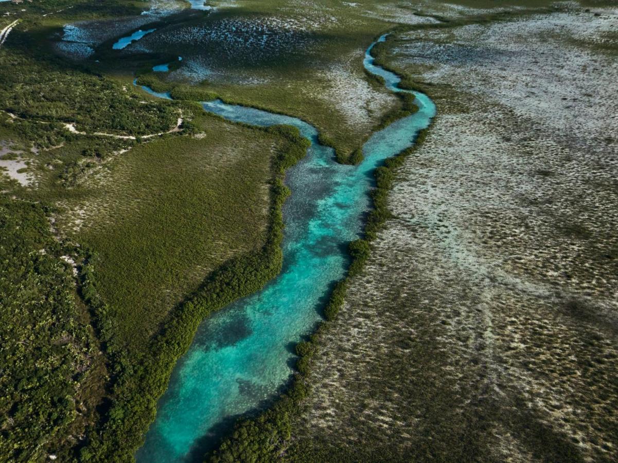 Como Parrot Cay Sandy Point Zewnętrze zdjęcie