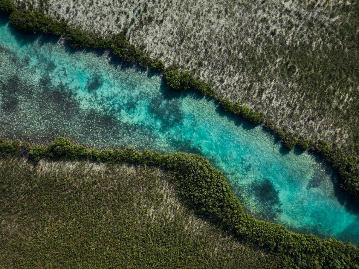 Como Parrot Cay Sandy Point Zewnętrze zdjęcie